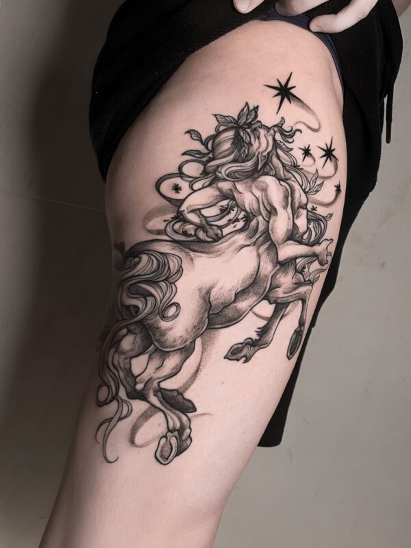 Imagen de galería 9