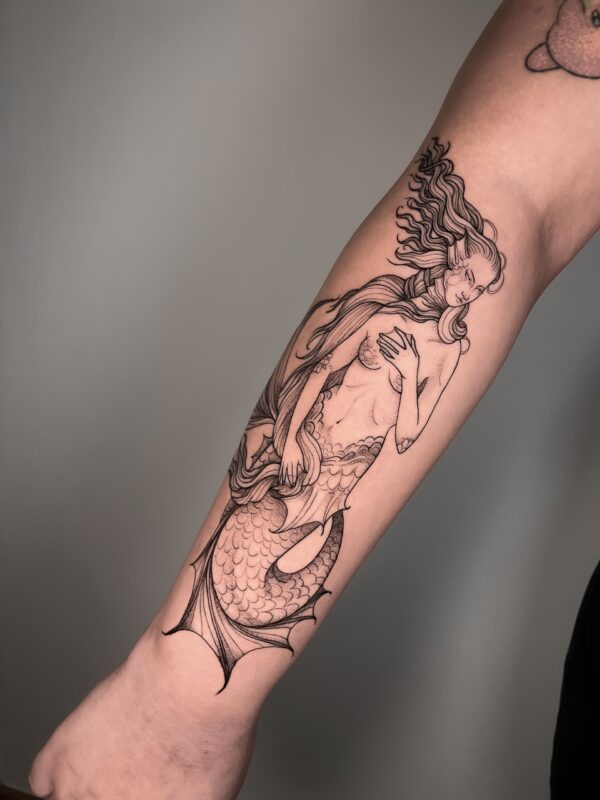 Imagen de galería 16