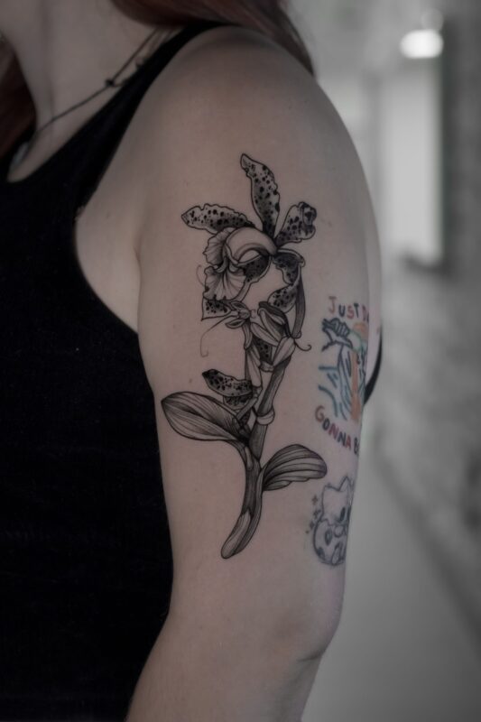 Imagen de galería 13